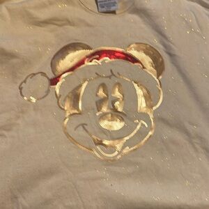 Gently used Christmas WDW spirit jersey